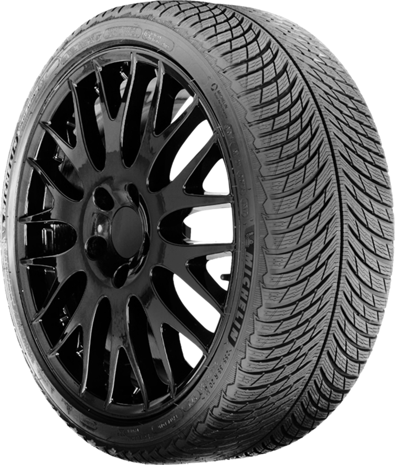 Michelin Pilot Alpin 5 255/40R20